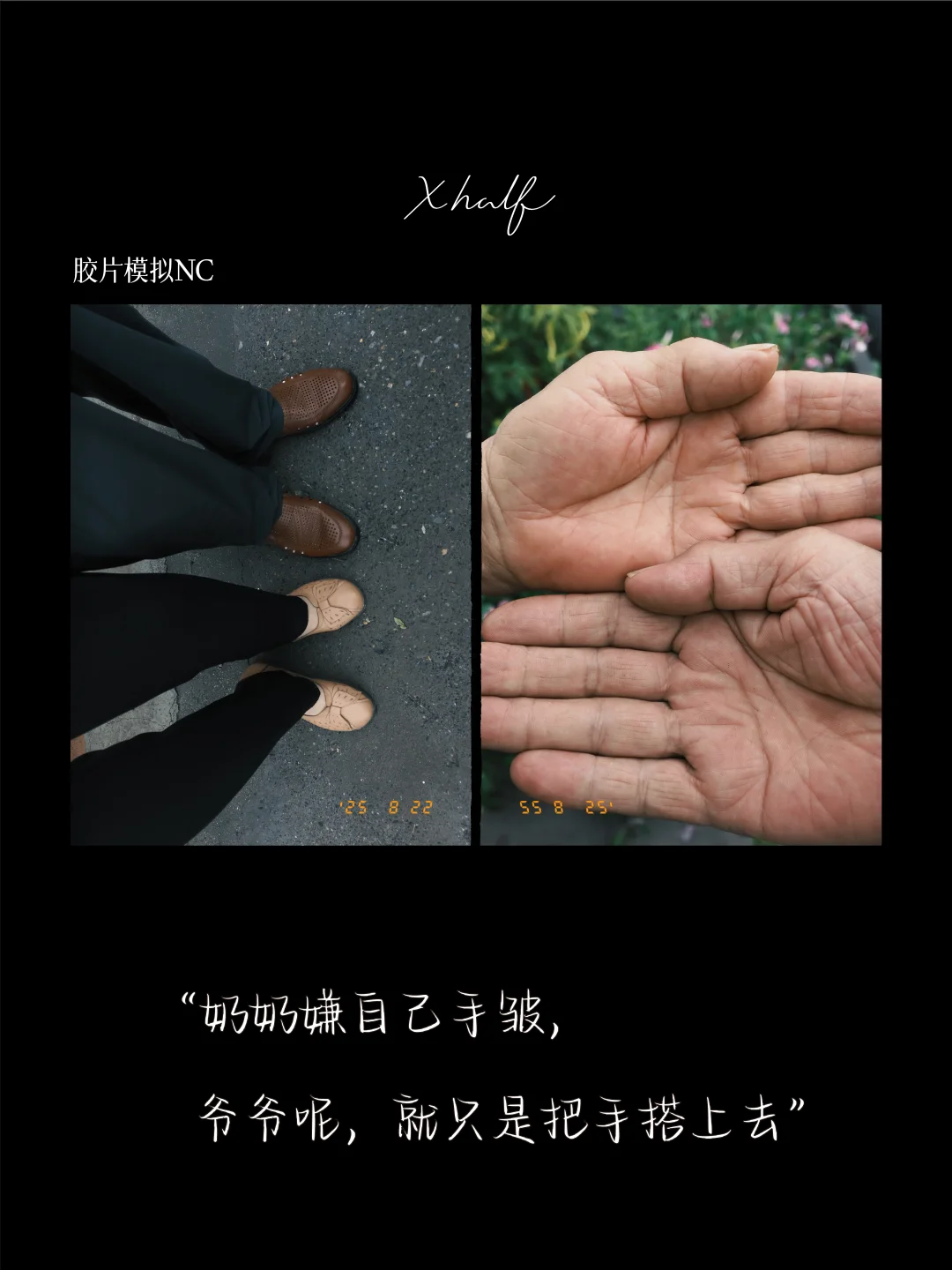 当我送给爷爷奶奶一台相机，他们拍下了...