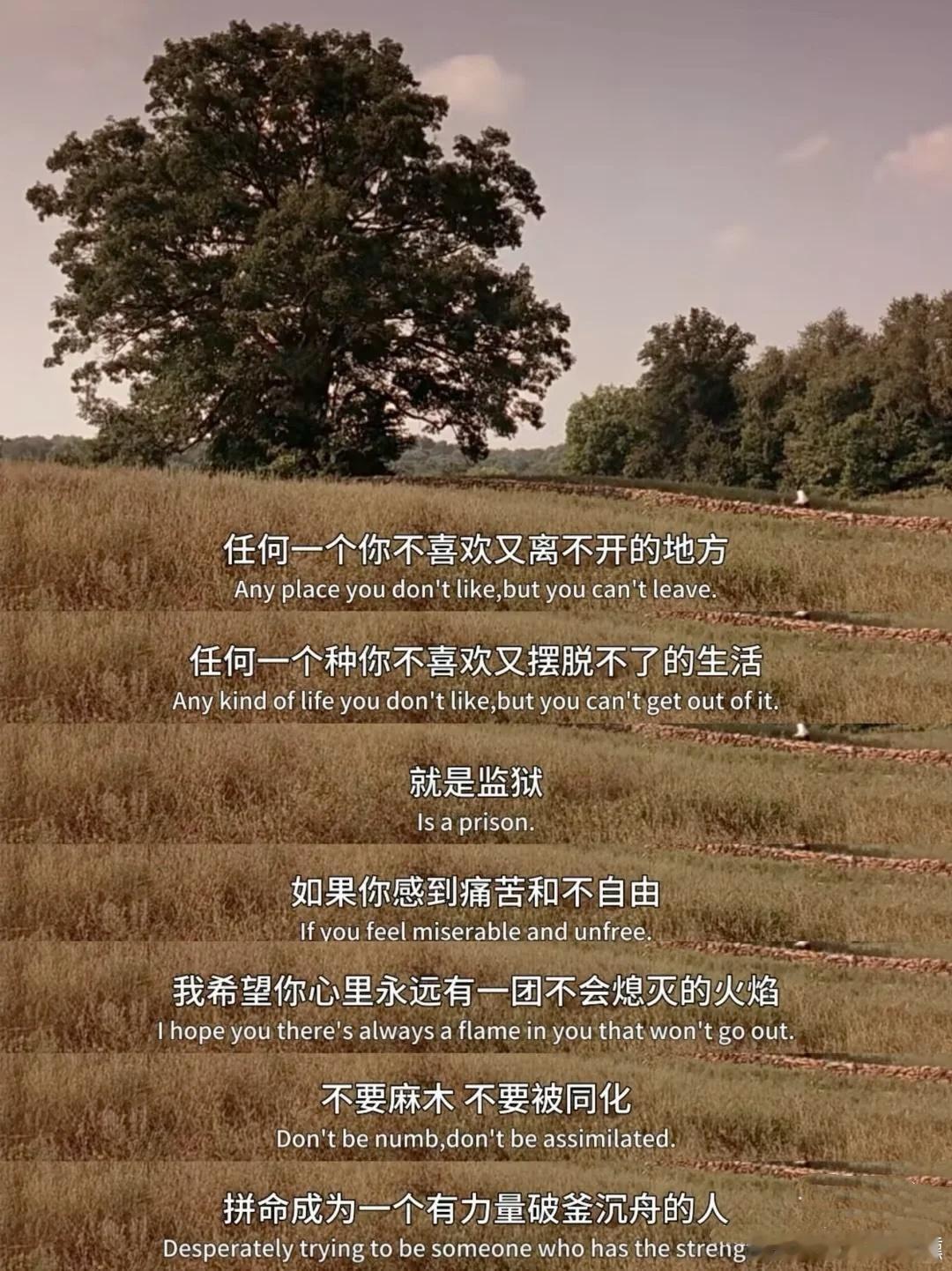 把不喜欢藏在心底，暗自努力，总有一天你会积蓄到足够的力量，一举击破束缚自己的蛛网
