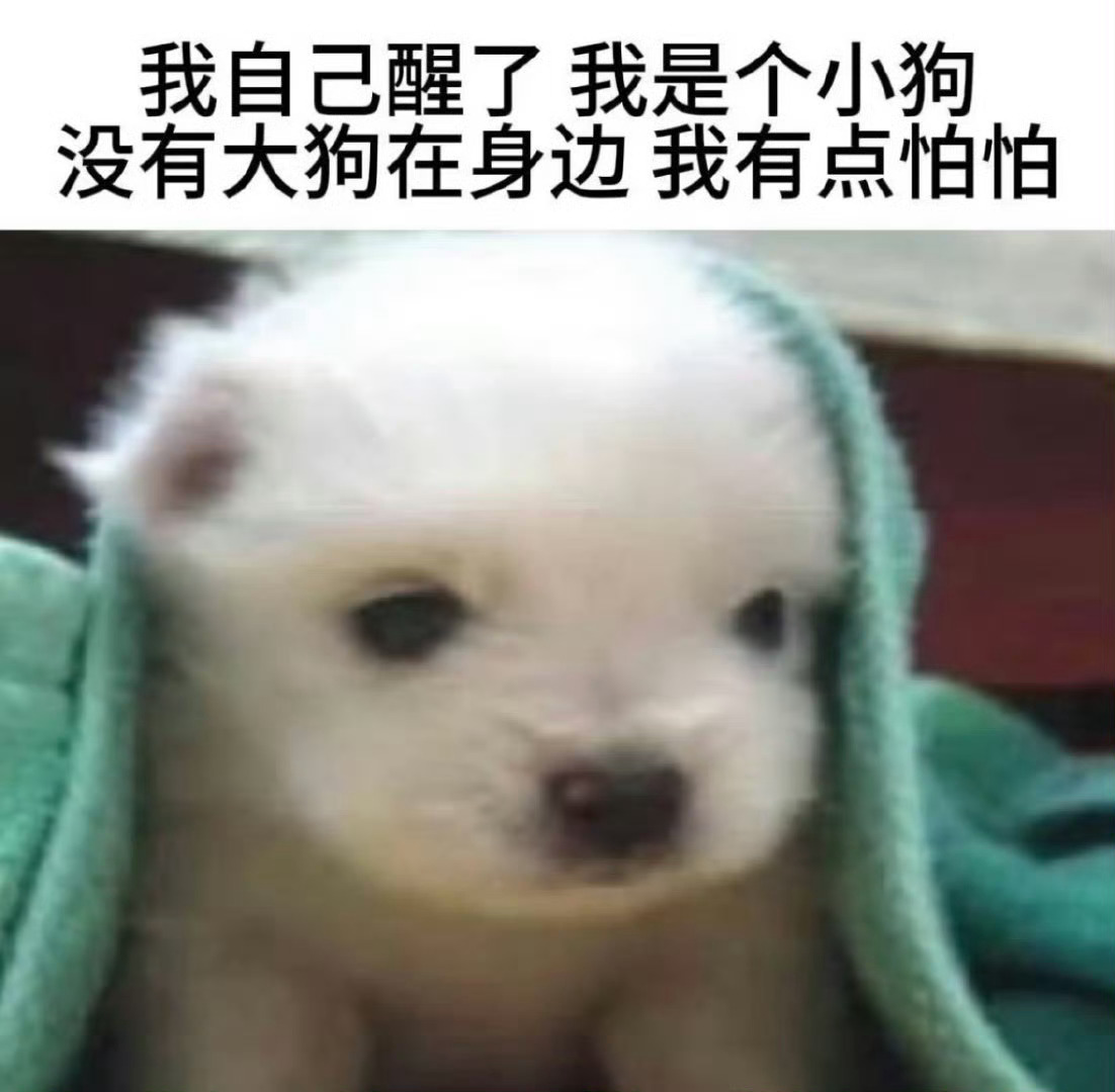 好困啊我好想回家睡觉 