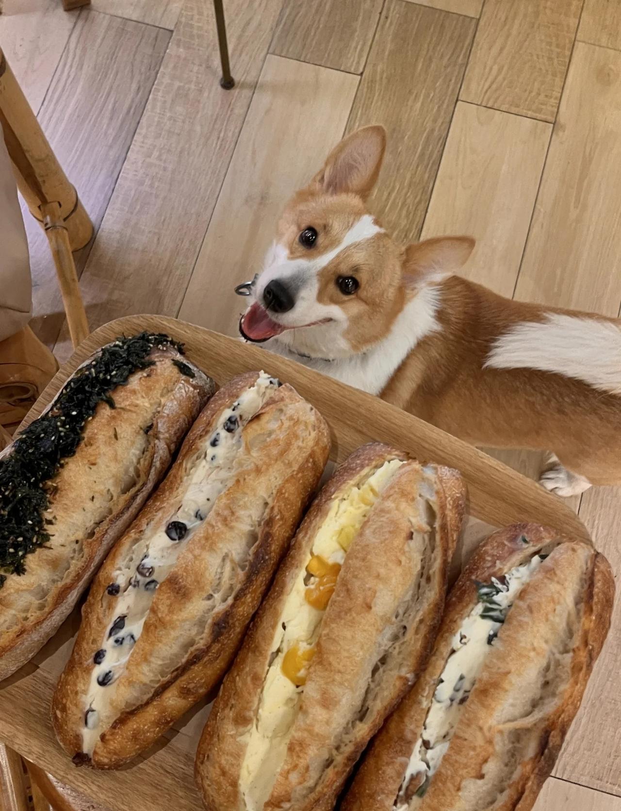 广州面包脑袋狂欢版（我爱法棍版🥖）
天井！我的快乐老家！又又又出新品啦！！新出