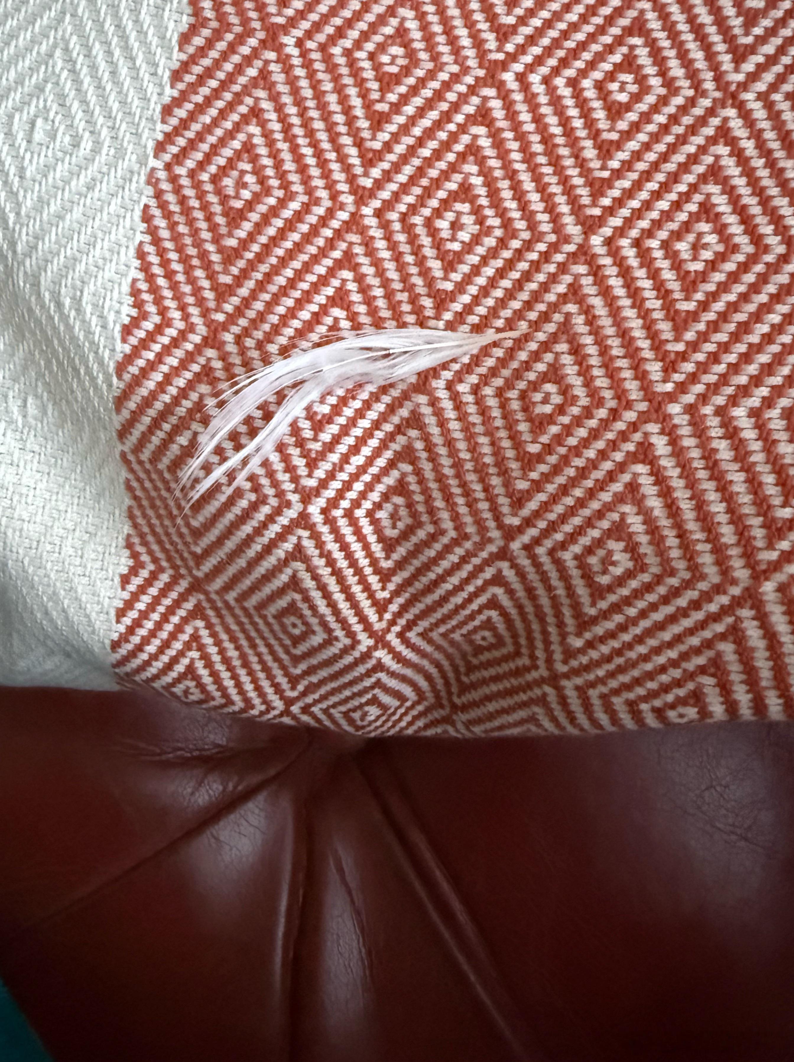 沙发靠枕里的羽绒箭头时不时地冒出来戳人，我家里的靠枕都是这种，我不知道为什么要用