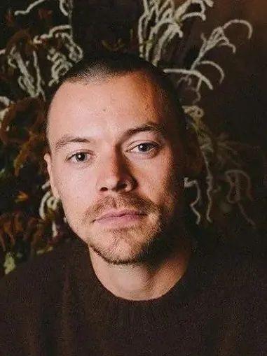 Harry Styles 寸头造型。