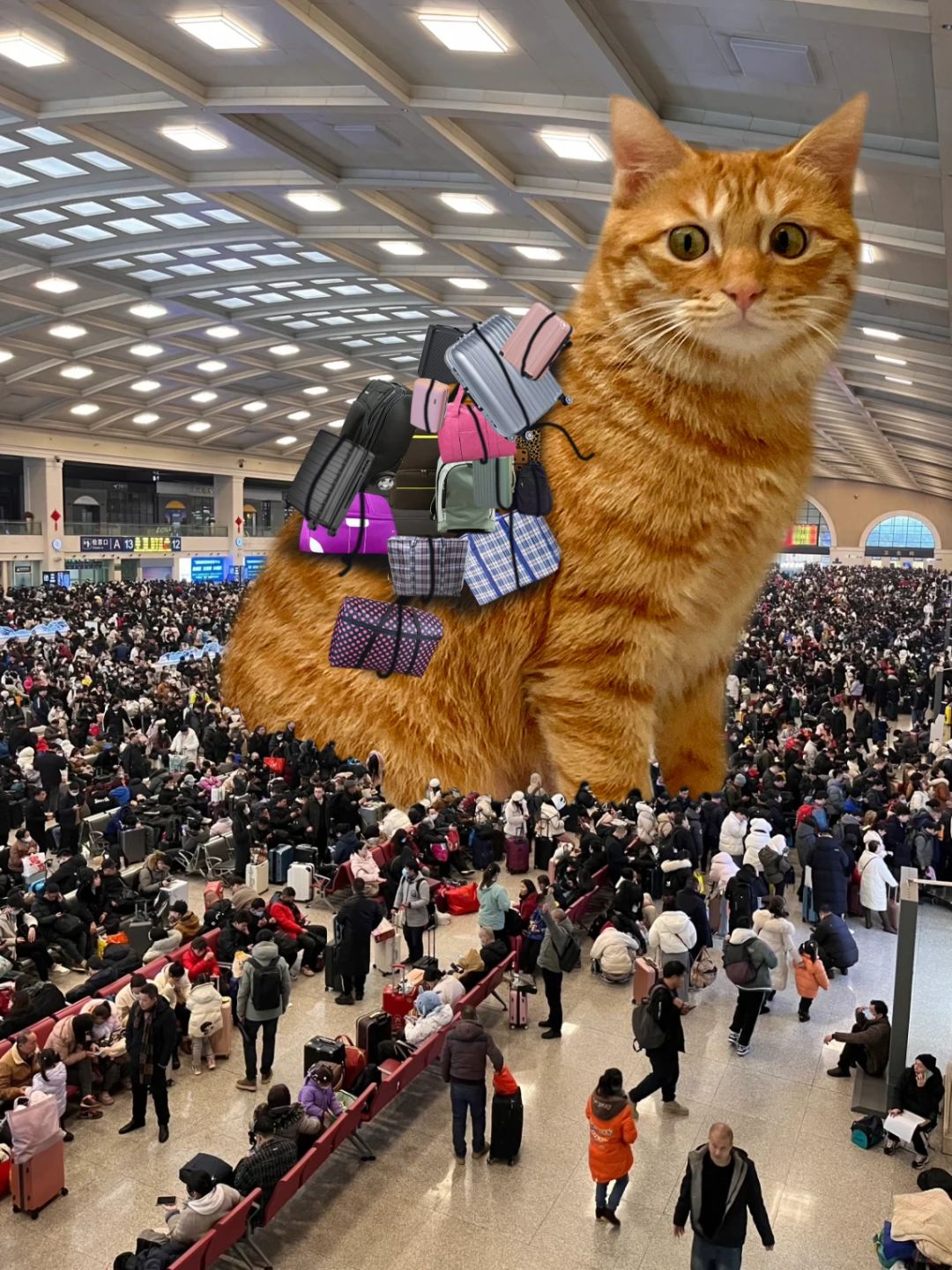 助力春运～大海号🚄送你回家