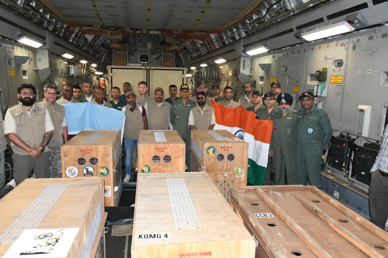 近日，印度空军出动一架C-17运输机，将9只猎豹从博茨瓦纳首都哈博罗内空运至瓜廖