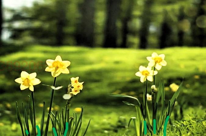 问你一句，如果你退休了不缺钱，还会去找工作吗？

老妈妈说，想法太多手中的钱也就