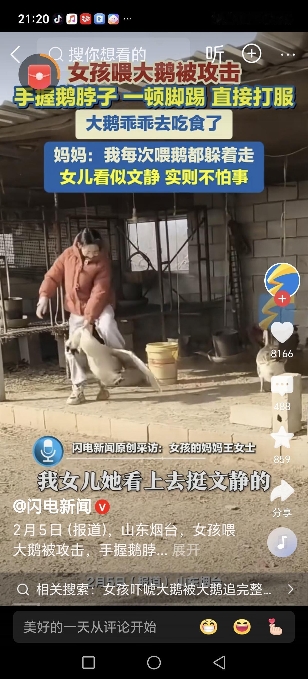 这是一段令人振奋的故事，展现了孩子的勇气和坚韧，也让人感受到动物与人之间意想不到