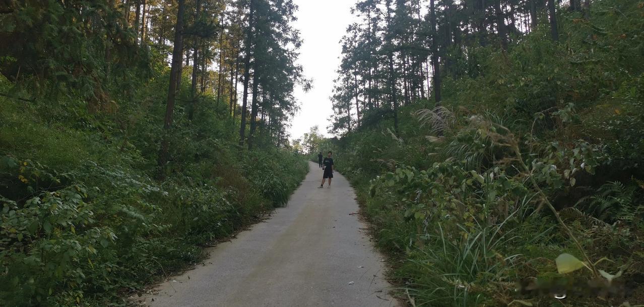 #秋日生活打卡季#外出游玩我有一个习惯——捡垃圾。大自然的一山一水，一花一草一木