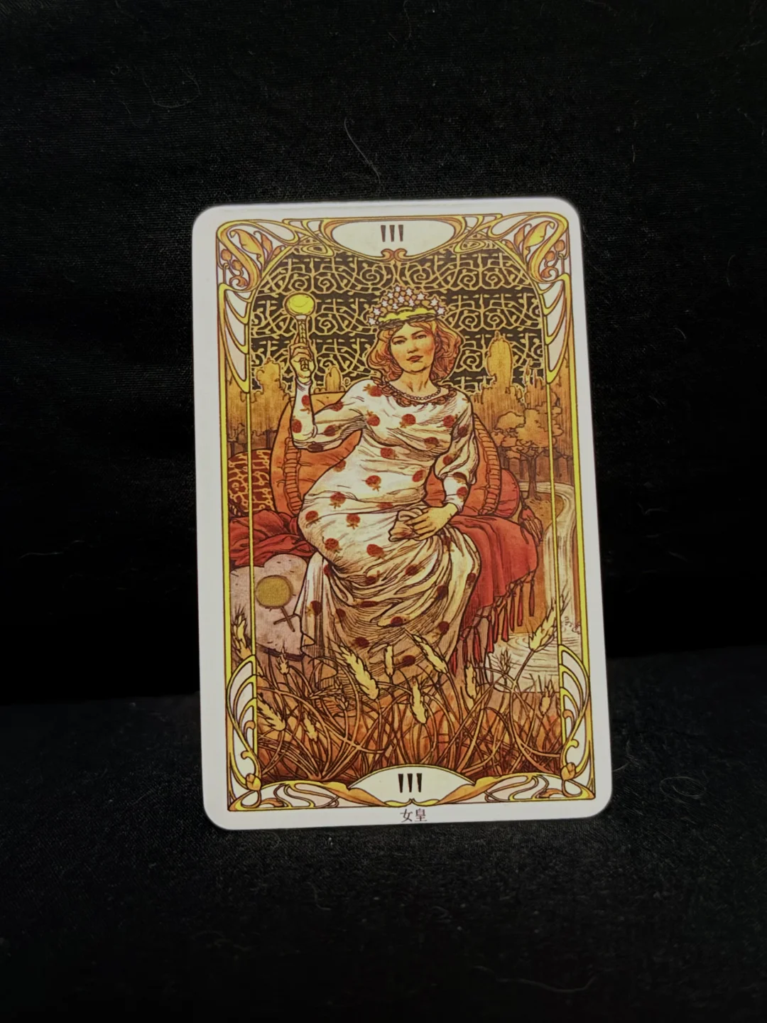 传讯：姐就是女王👸