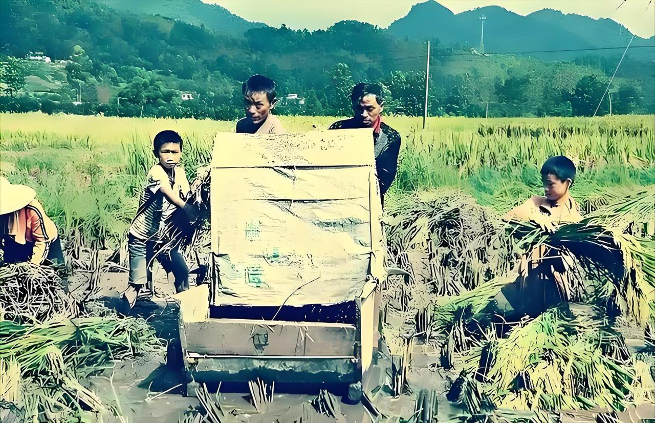 我是70后，生在农村，从小经常跟表兄弟在一起玩。现在我的儿子跟他的表兄弟关系很淡