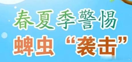 39岁博主被虫咬后感染离世除了恙螨之外，还有一个非常恶心的虫子，那就是蜱虫！蜱虫