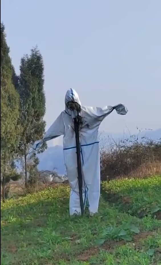 这下真的恐怖谷效应了 