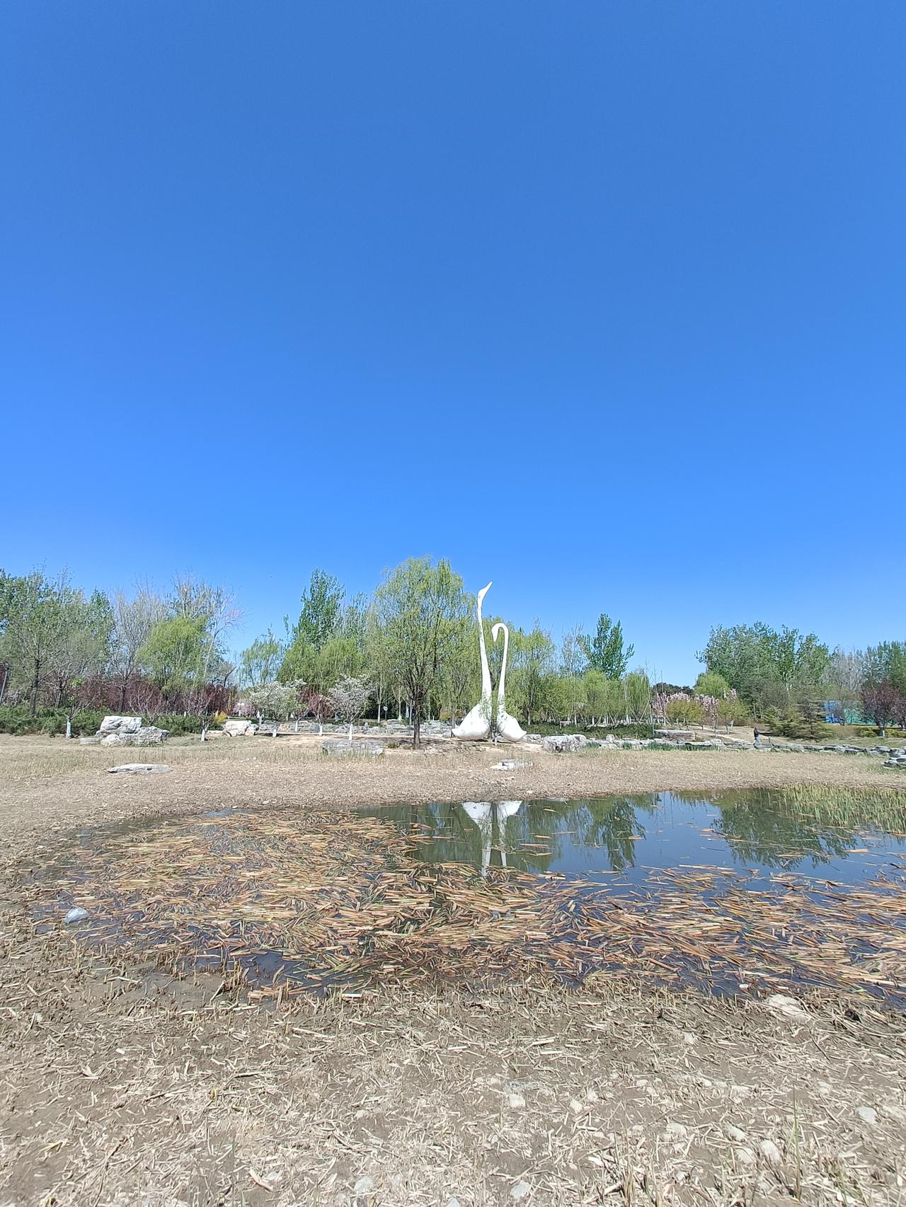 人生百态，没有绝对正确的活法。我觉得最好的活法是做减法。
大家总忙着做加法，学知