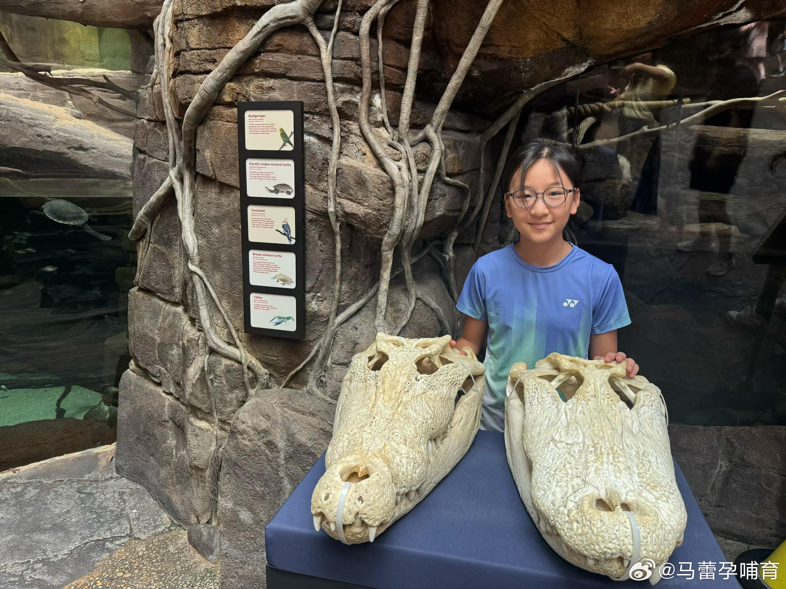 昨天带妹妹去了Baltimore的水族馆：已经建成45年了，硬件说不上多新多气派