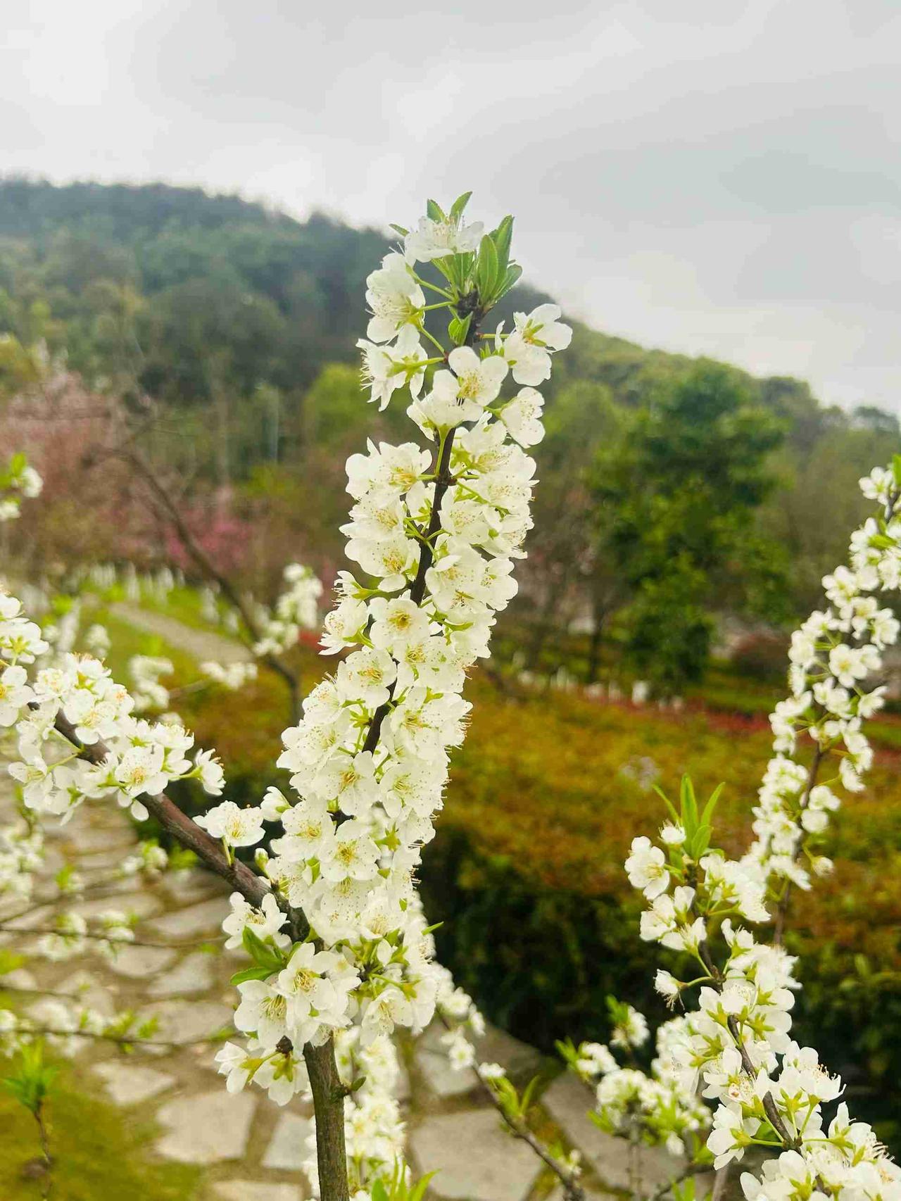 低头可见尘埃，抬头能赏花开。生活的美妙，取决于个人心态。心态佳、心情好、状态棒，