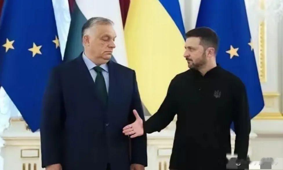 彻底决裂了！泽连斯基在慕尼黑安全会议上公开嘲讽欧尔班，欧尔班怒怼！泽连斯基：就算