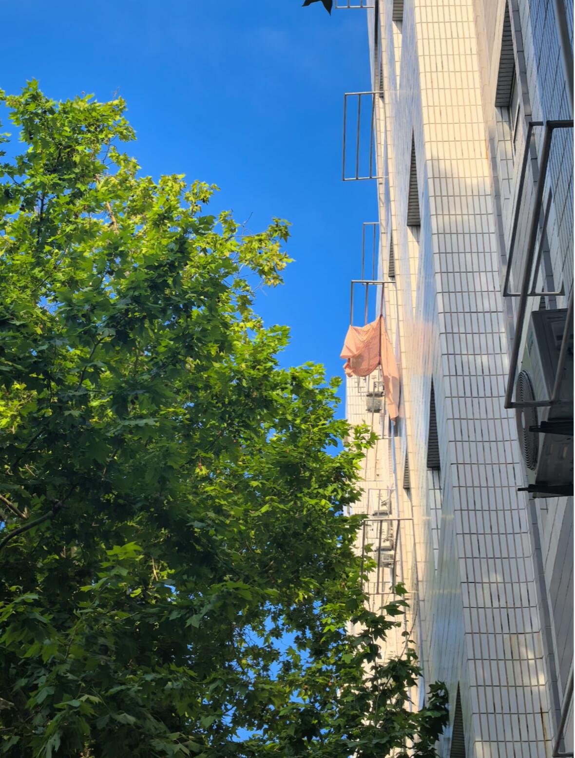 大学生喜爱内容共创计划 探寻青岛理工大学👀这所宝藏大学也太令人心动了！😍🏛
