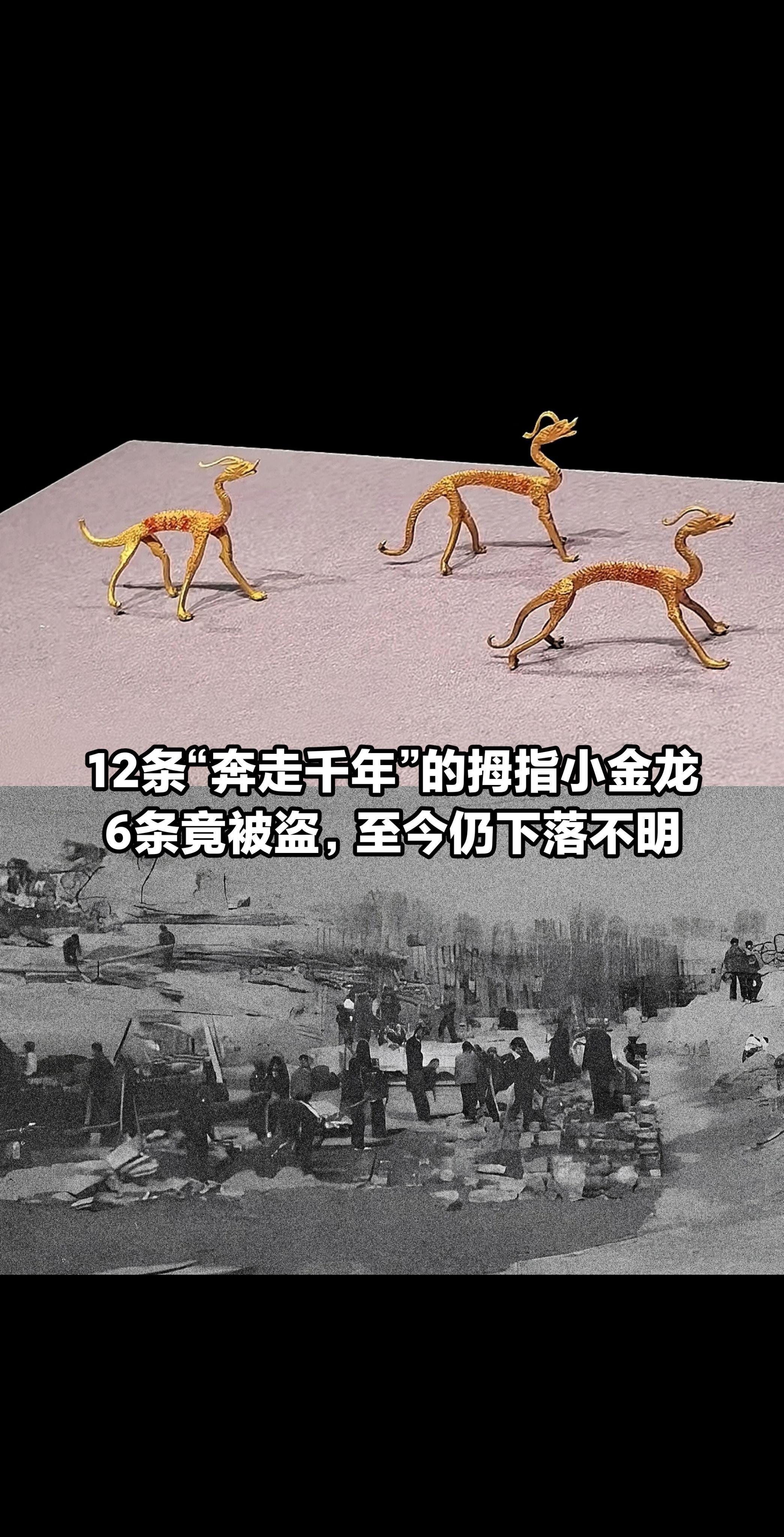 12条“奔走千年”的金龙，6条竟被盗。
