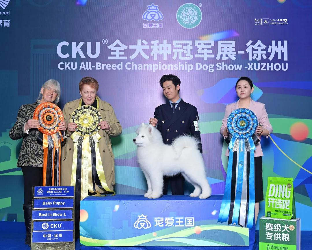摩王家族｜Lucky 首战告捷！ 4个半月斩获3场BABY全场总冠军 ...