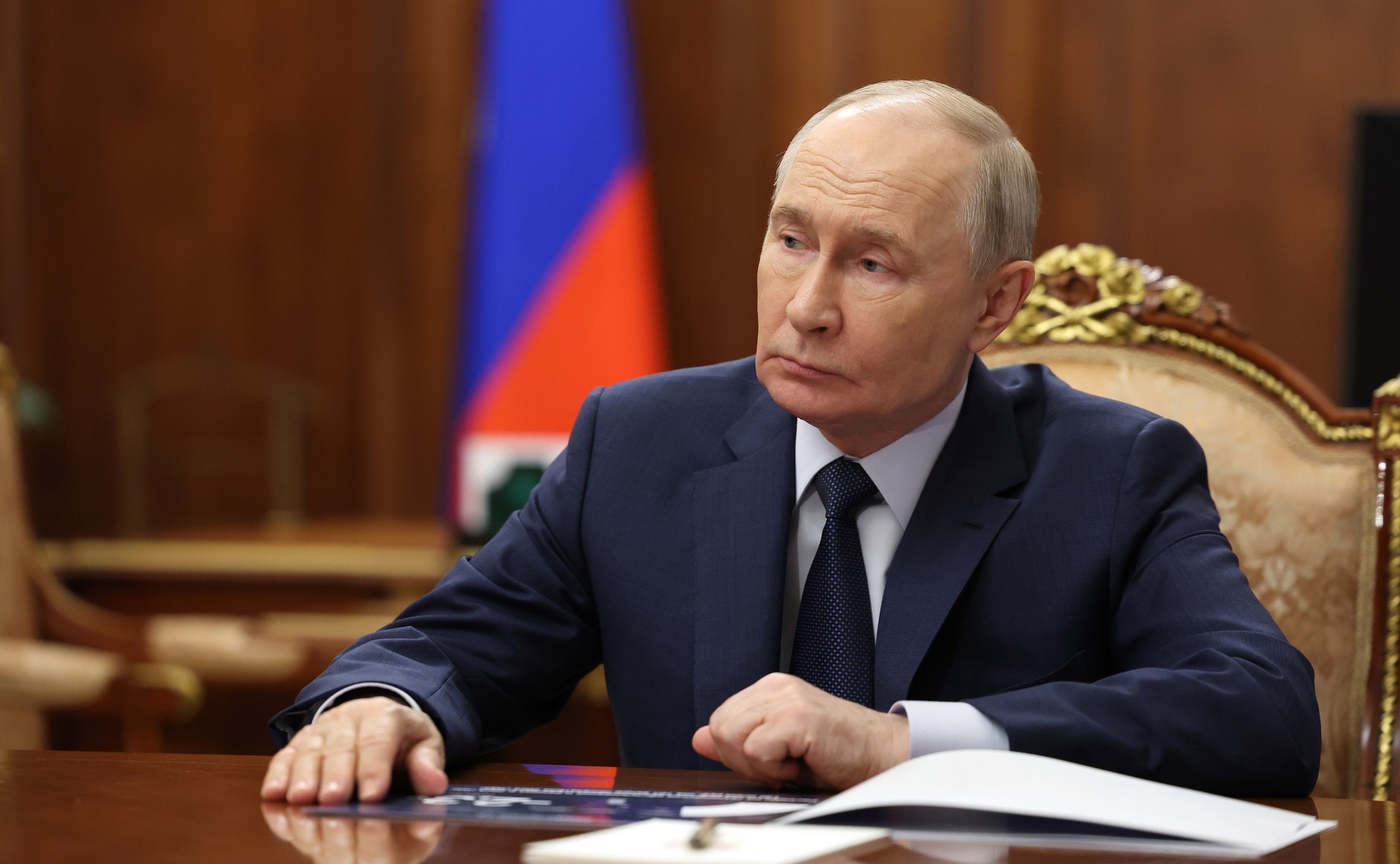 瓦洛佳小朋友  会见俄罗斯电网公司负责人安德烈·留明弗拉基米尔·普京与俄罗斯电网