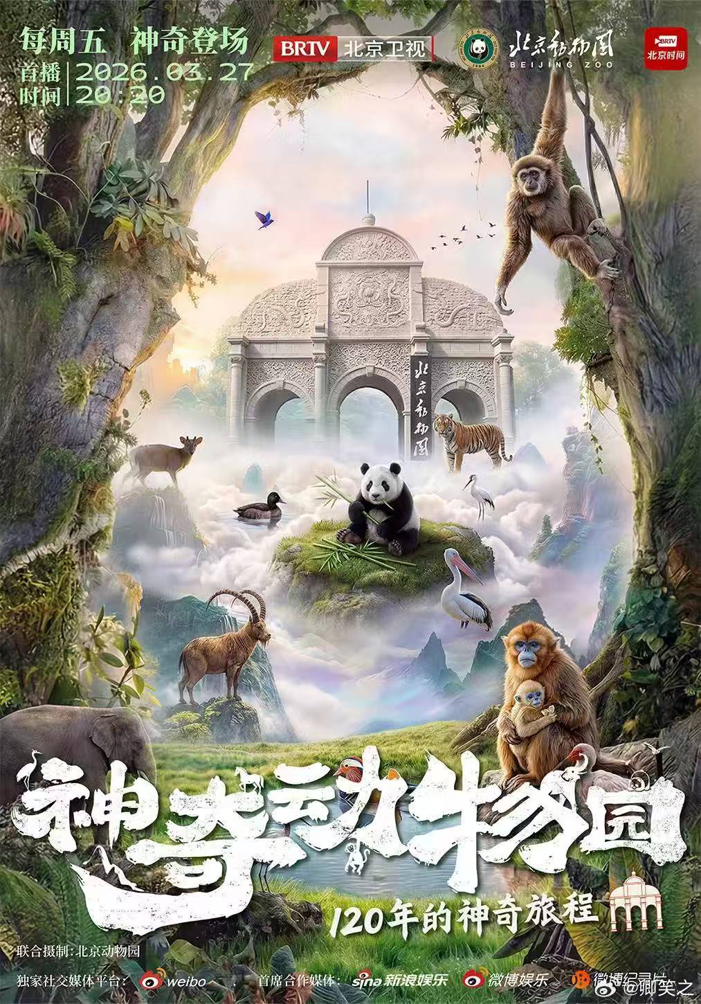 你们相亲都那么好笑吗从一顿饭开始，不再隔着屏幕。让真实的交谈代替点赞，让心动有机