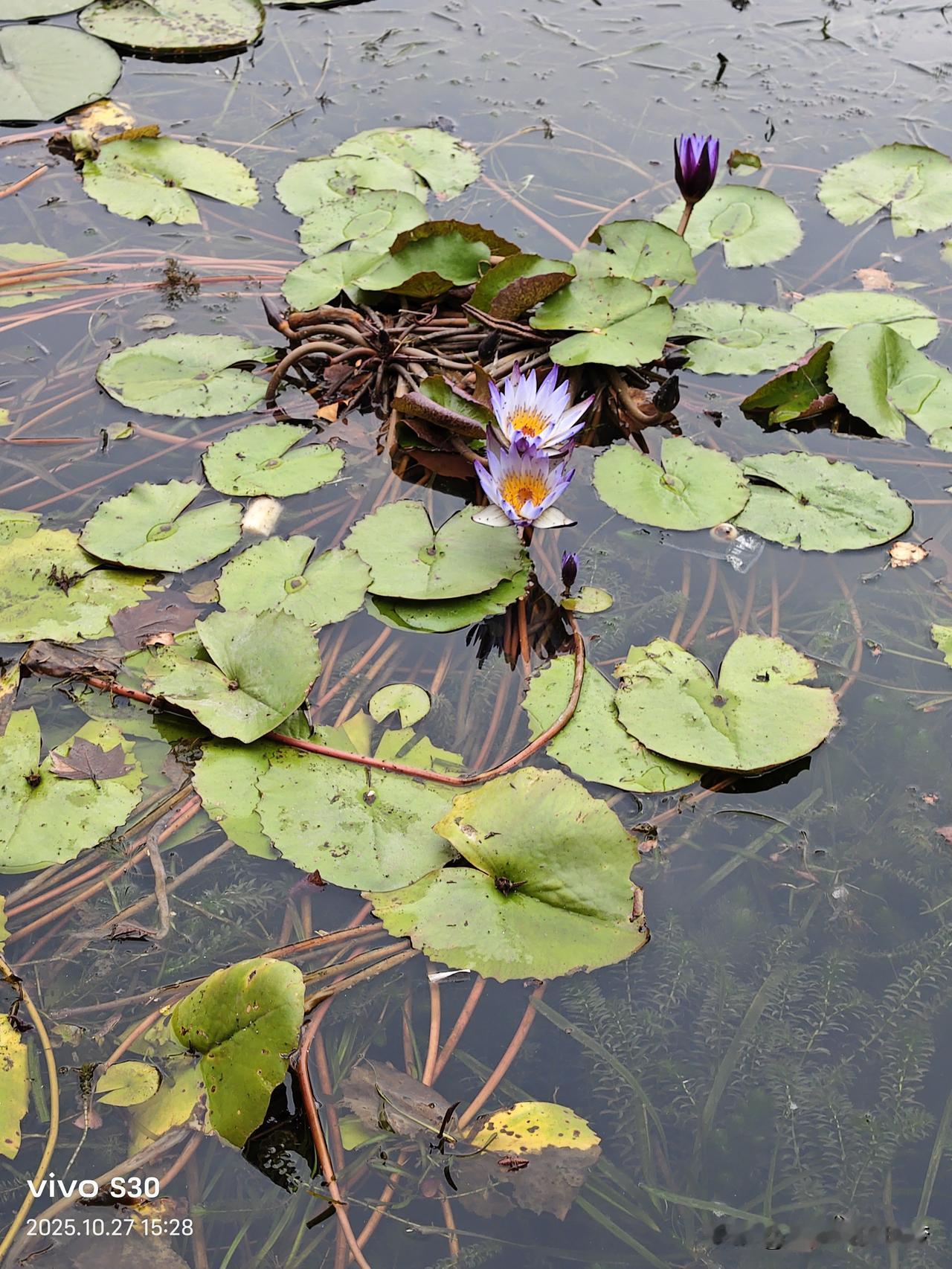 冬日生活打卡季