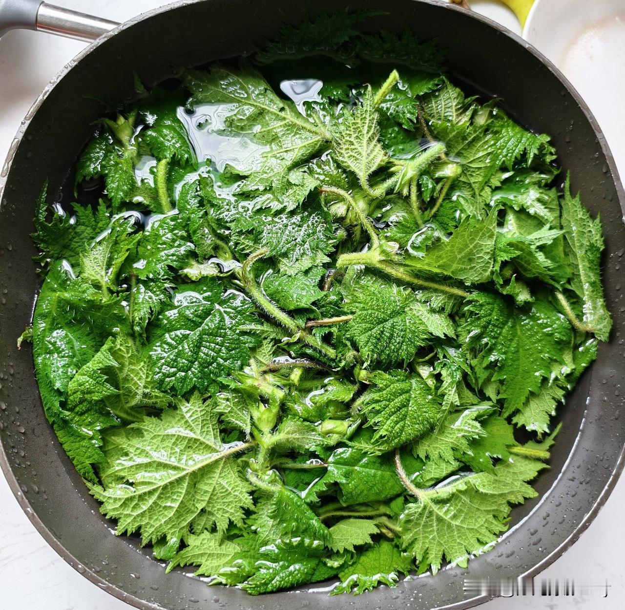 节食减肥第五天，先把体重稳定在一定区域范围，慢慢消耗体内多余能量，再考虑掉体重？