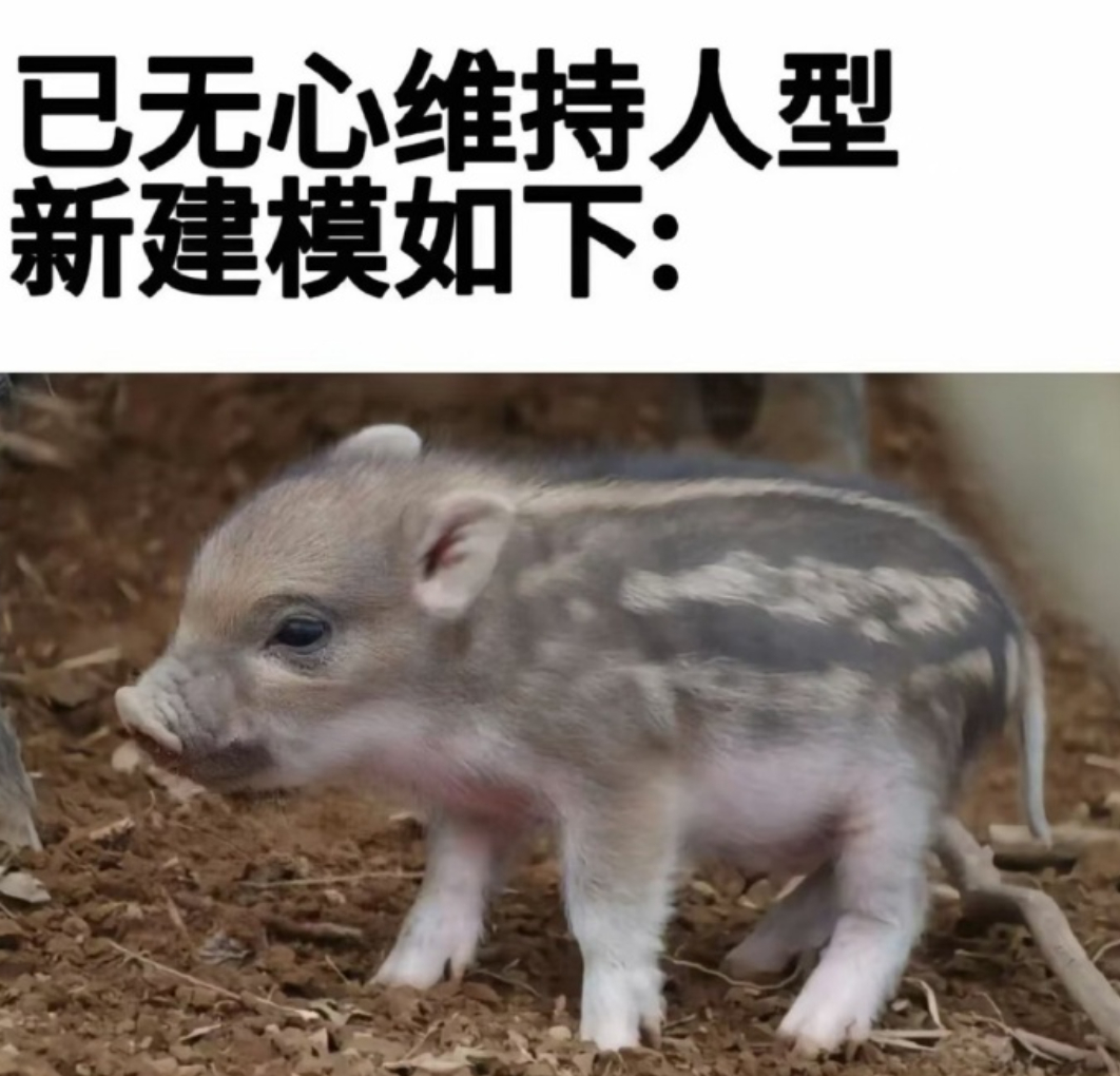 分享图片 