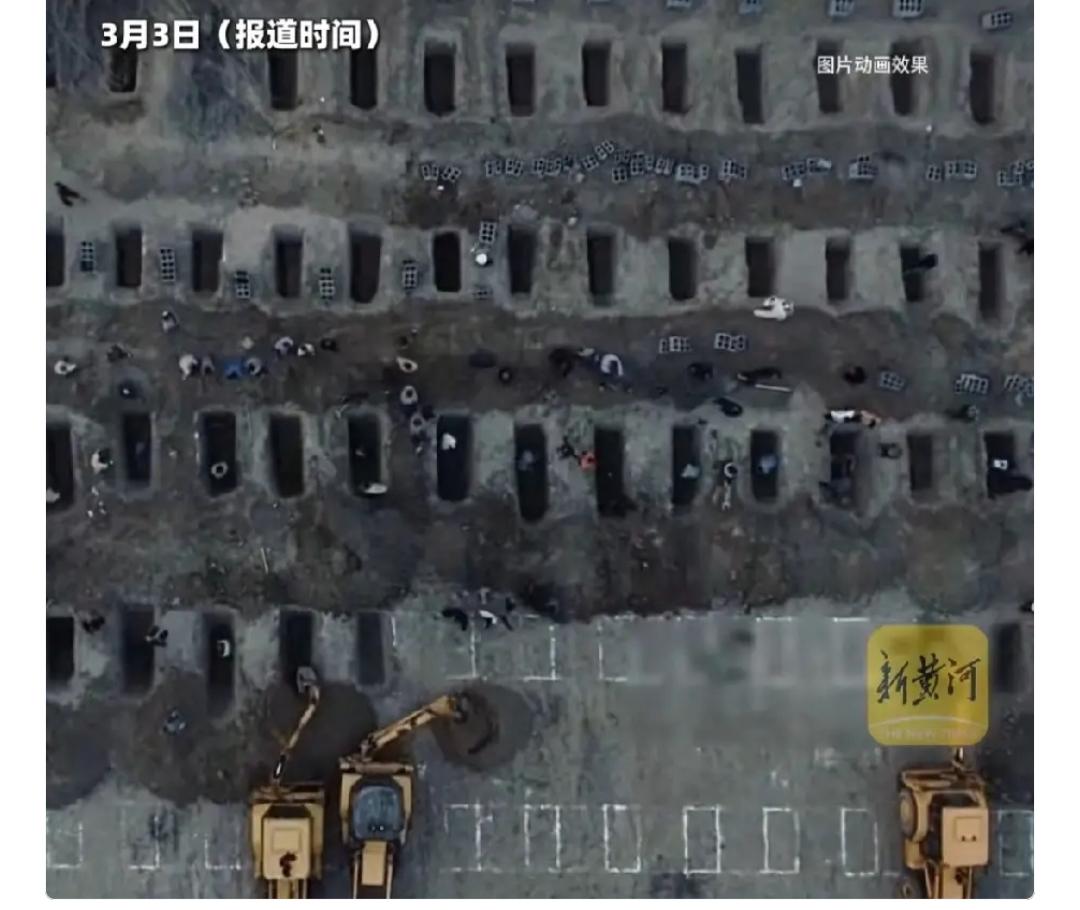 80年前，日本人杀害我们的亲人同胞多的多，手段更残忍。所以我们中国记仇日本。如今