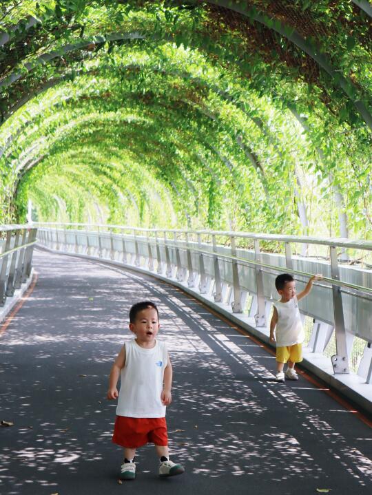 厦门限定 | 绿色🍃是夏天最美的颜色