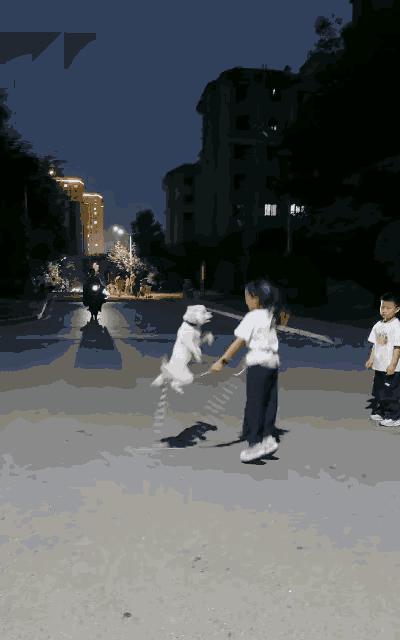 成精了吧？6月10日晚上，河南一个小区里，一个女孩带着自家小白狗跳绳的画面，直接
