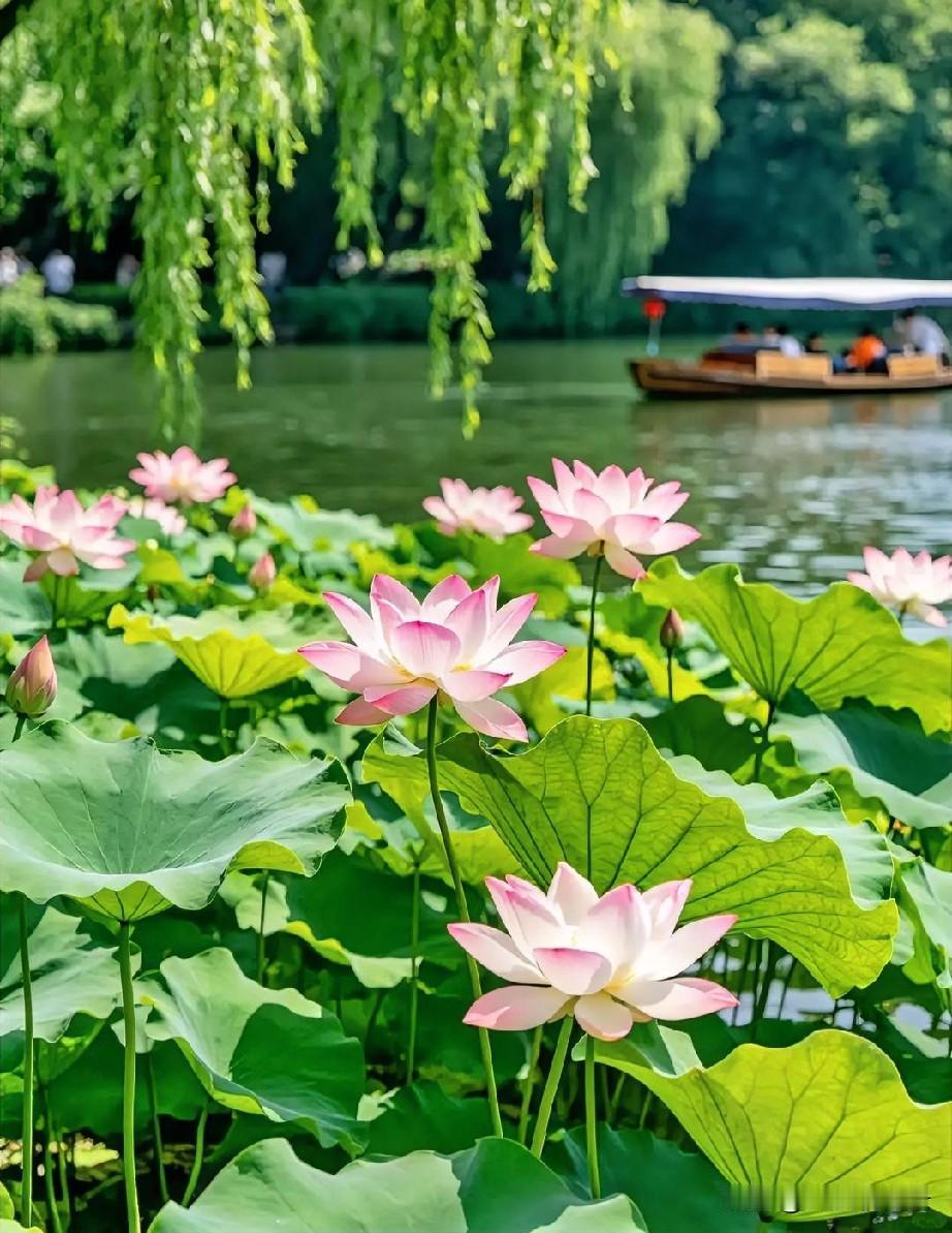 《小令·浪淘沙》
翠影映清塘，荷意悠长。
清欢一夏沐馨香。
愿得流年皆顺意，岁岁