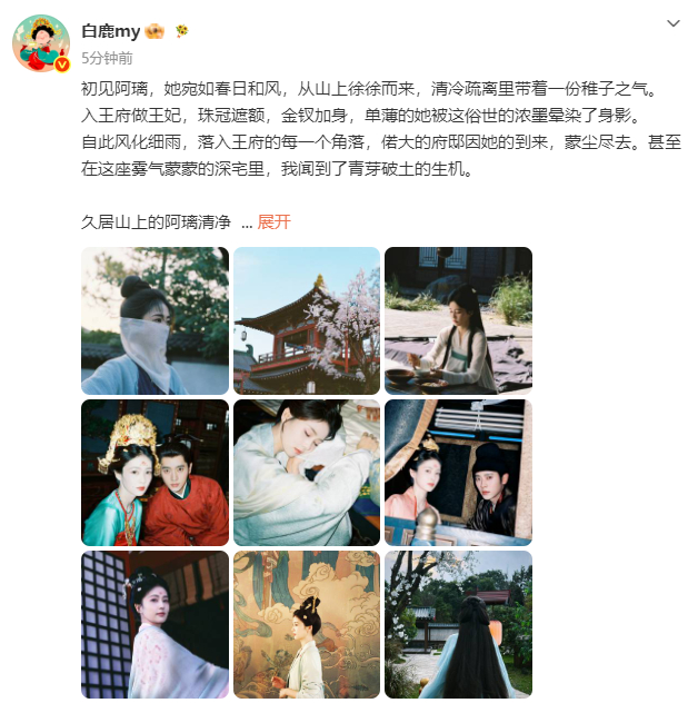 白鹿莫离开播千字文白鹿回应莫离开播发文  白鹿回应莫离开播发文，白鹿莫离开播千字