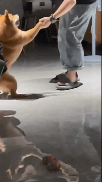 不能打不能打……