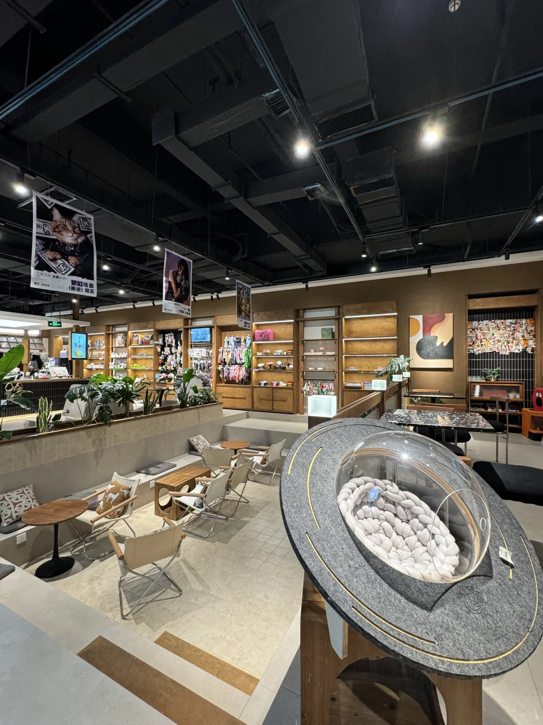 卧卧卧…合肥新开的！超1000平宠物咖啡店🥹