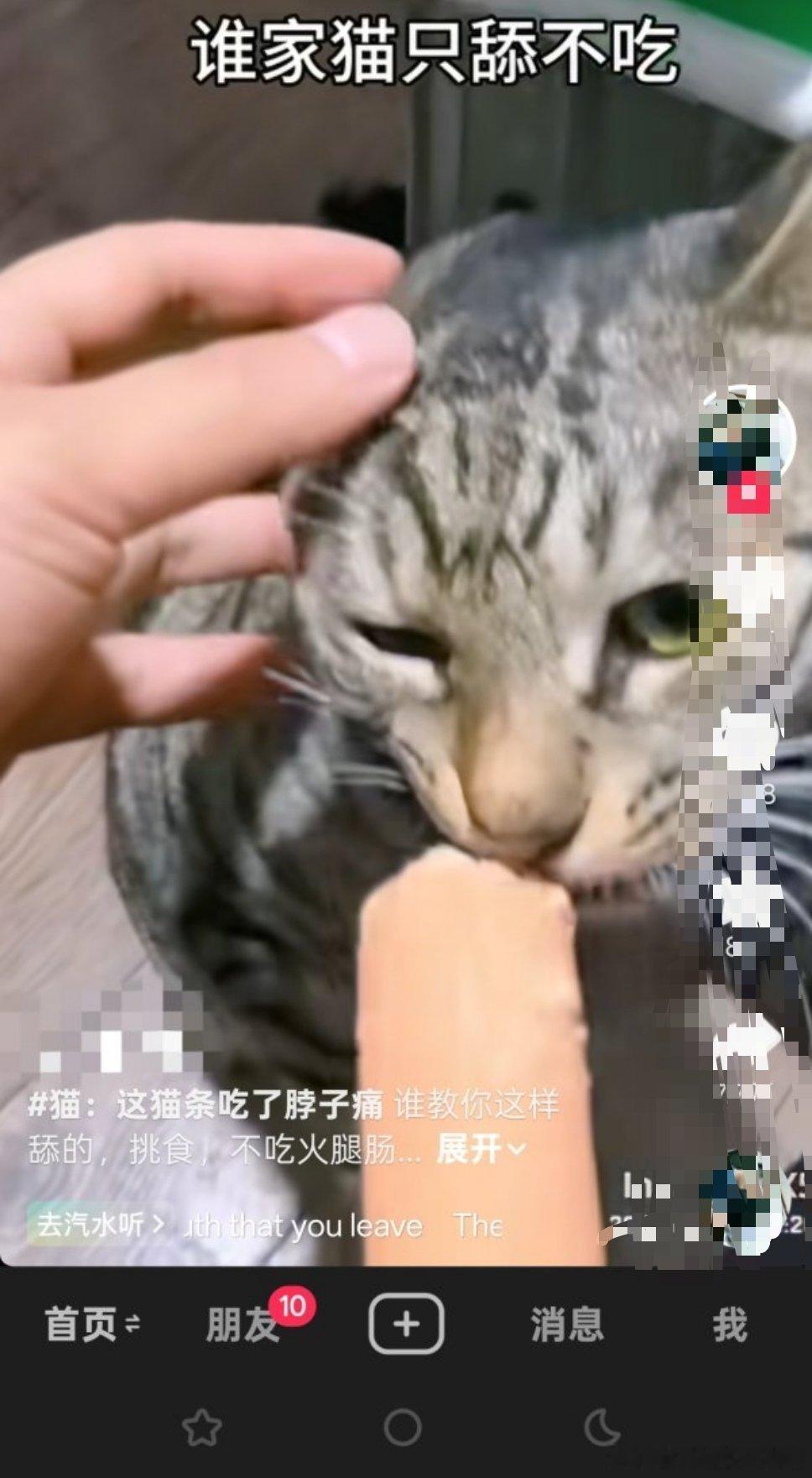 x压抑死了，对小猫都能开黄腔 