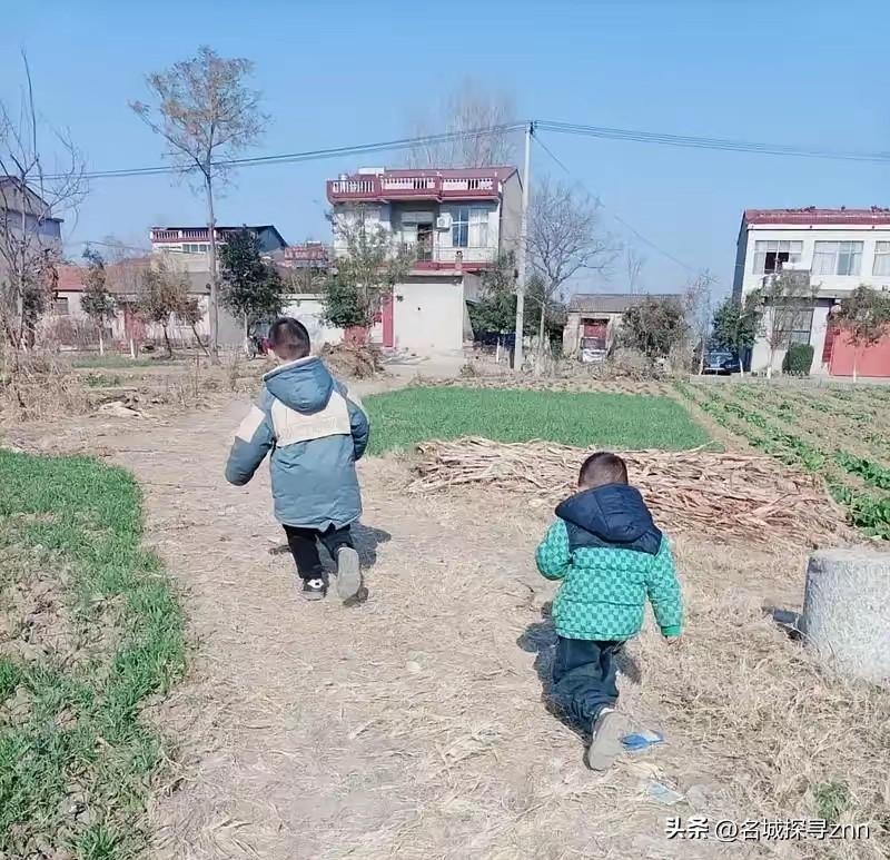 “悲剧还是发生了！”56岁女子，带着3岁和2岁的孙子上山挖红薯，然后让2岁的孙子