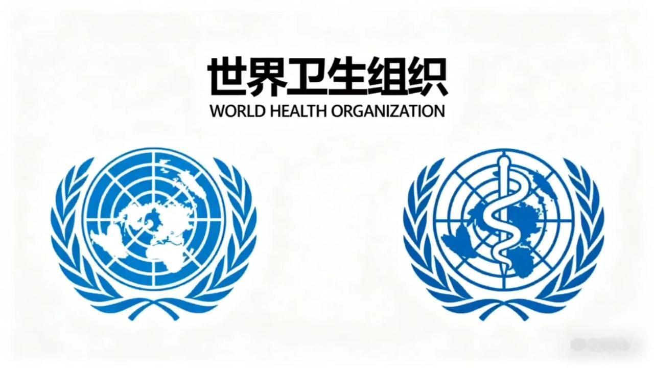 大陆再次收紧台湾的“外交活动”空间。

第79届世界卫生大会的注册已于5月10日
