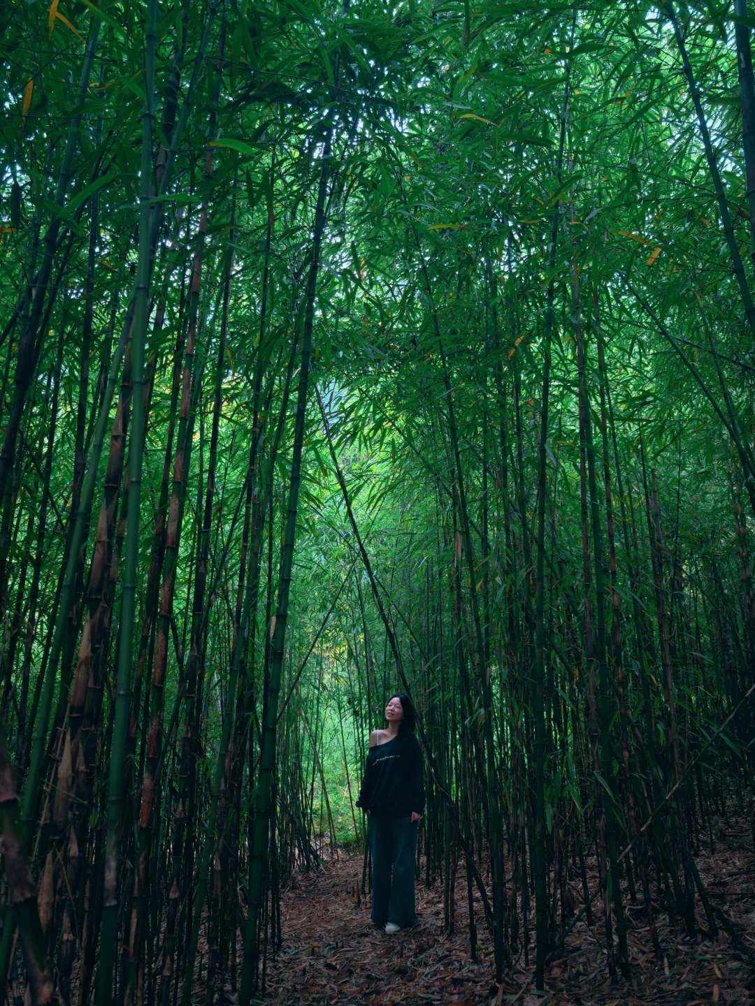 青城远远乡|雨后山野，弥漫着缱绻秋意