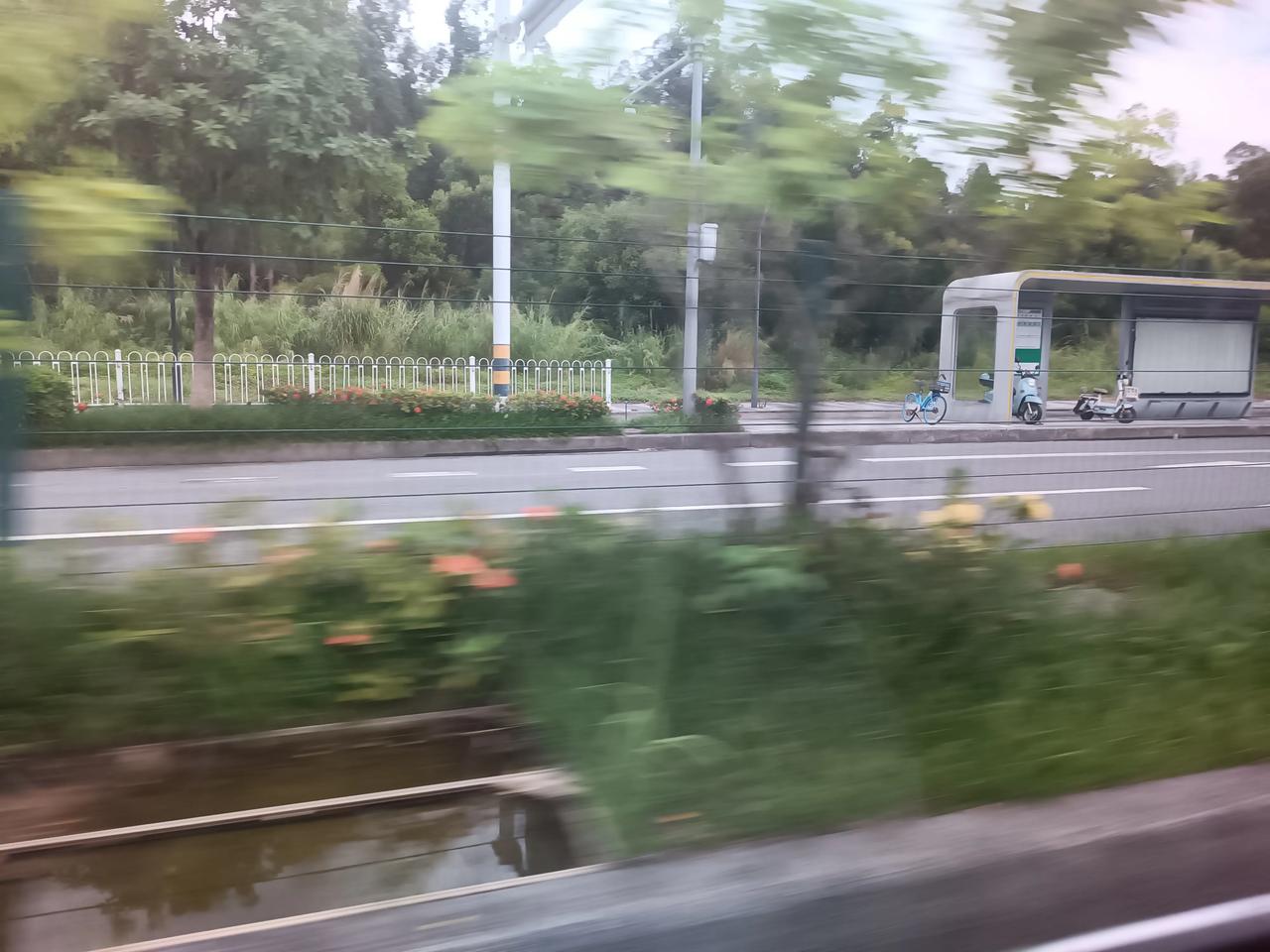[招财进宝][招财进宝][送自己一朵花][送自己一朵花]
今天天气晴朗
阵雨，一