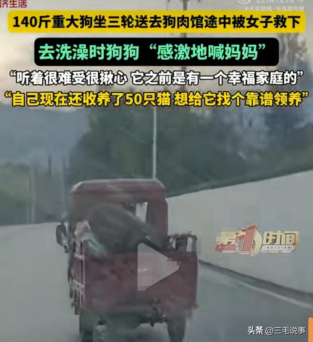 很多人都怀疑这大爷是不是偷的这个狗，毕竟这么好的狗竟然卖到狗肉馆。

这应该是个