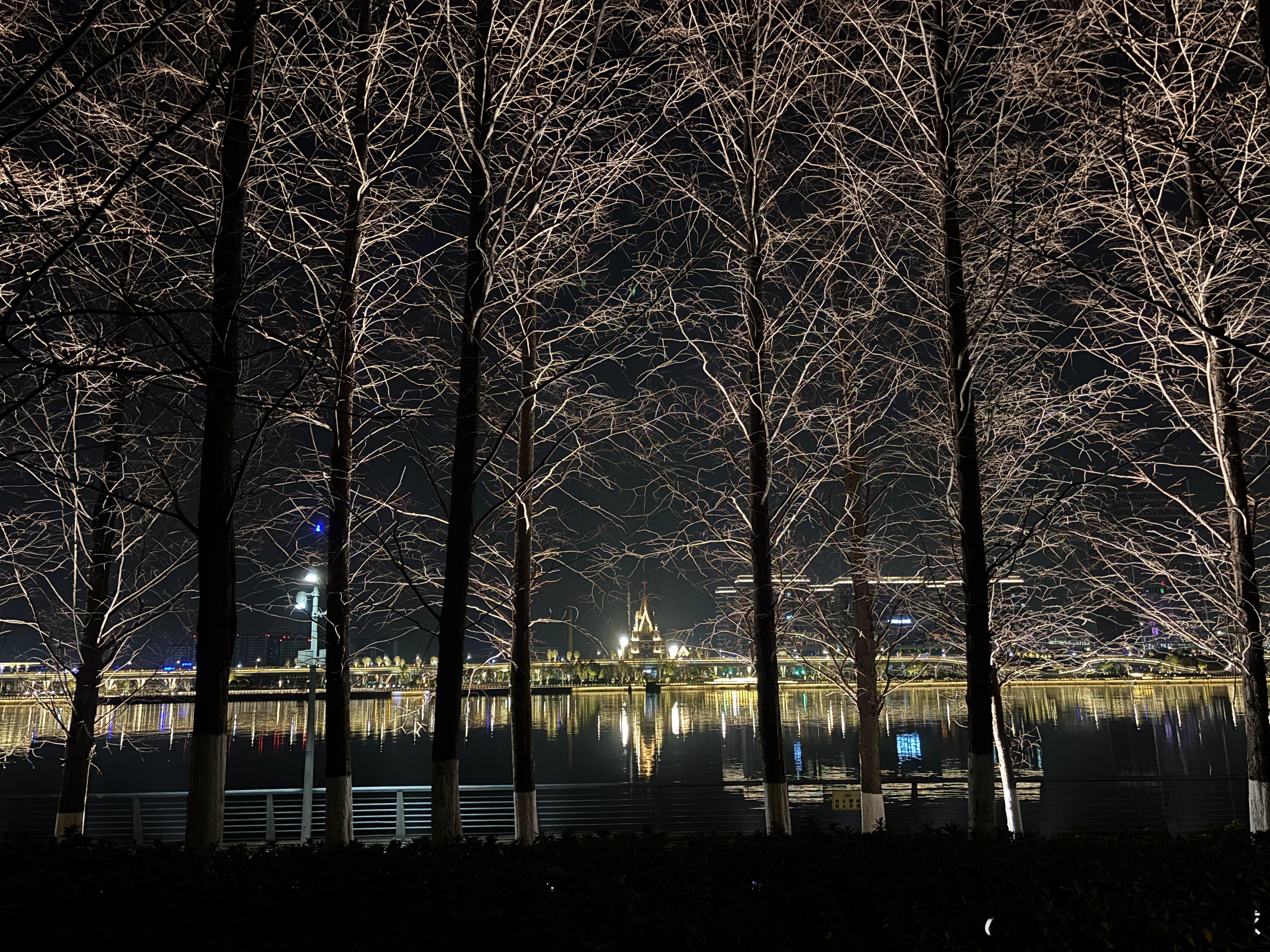 压着跑 新年第一次跑🏃下过雨的天气，和敬清寂。 