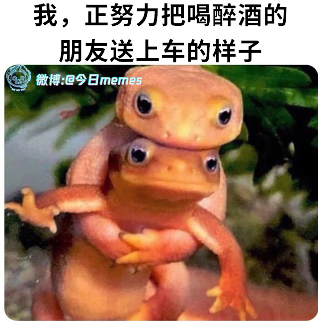 转场转场（9gag）今日meme今日memes