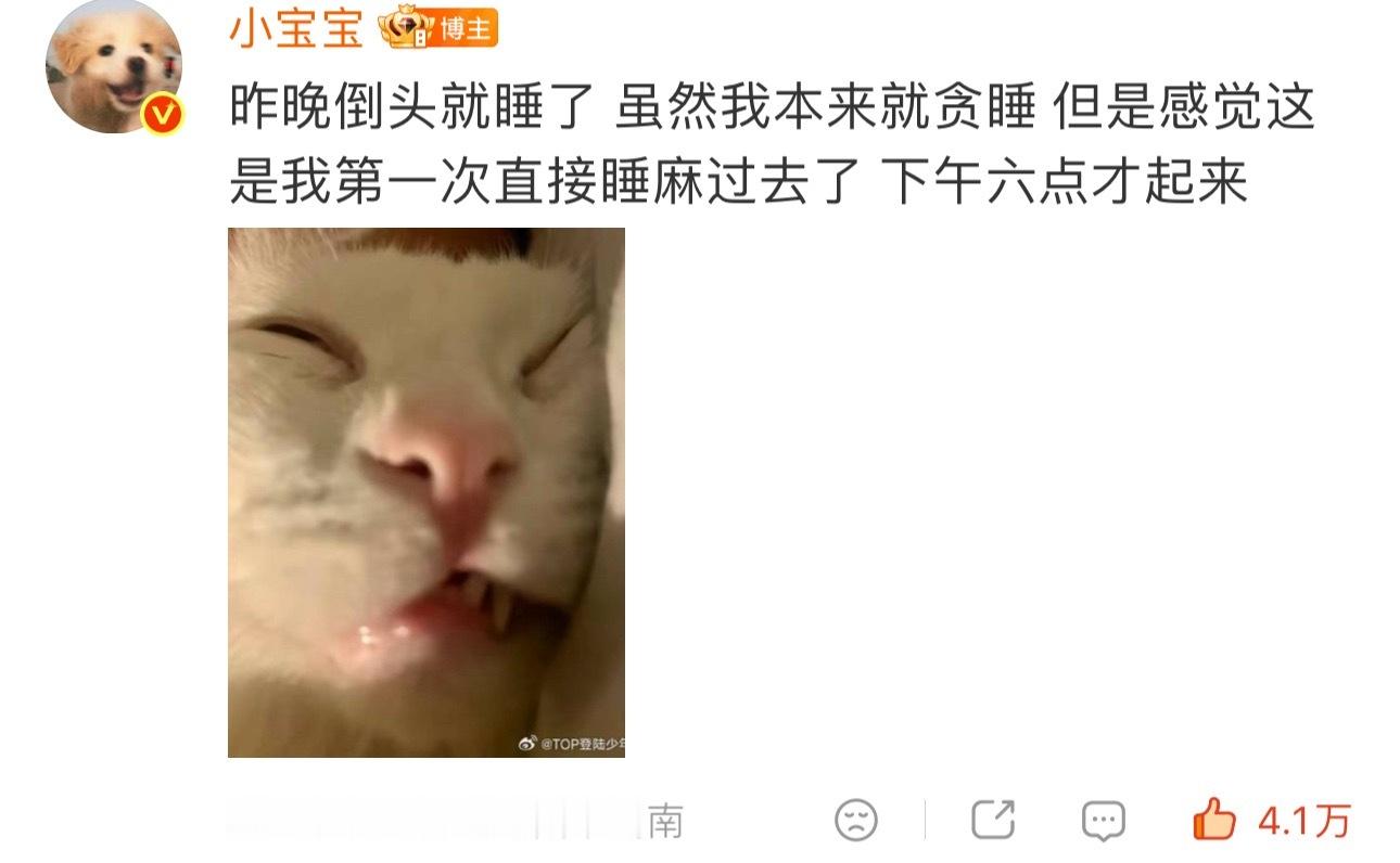 猪猪累得呼呼大睡🐷张泽禹一路向海的少年