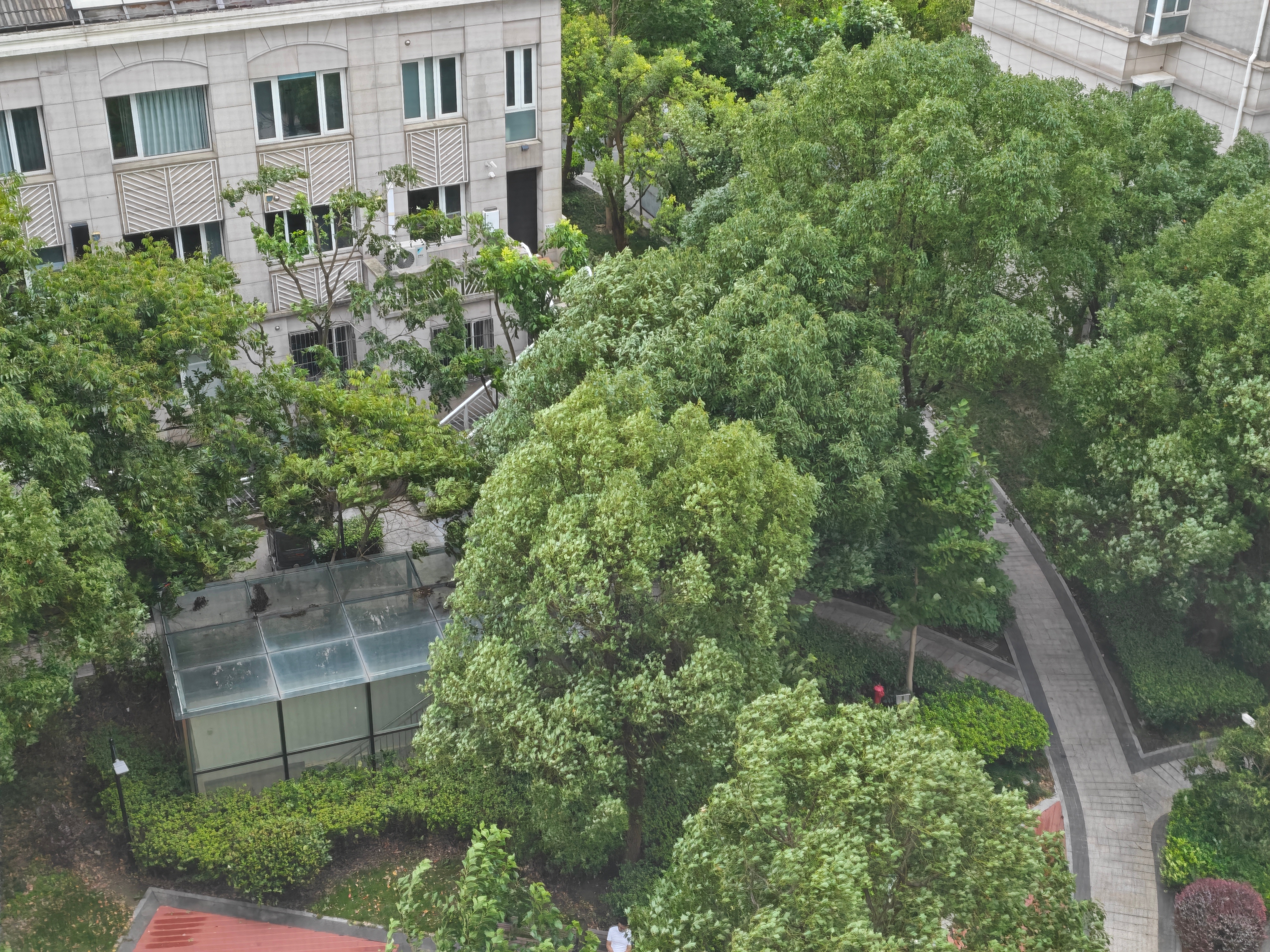巴威建议今天尽量别点外卖 外面风声哗哗的，都别折腾外卖小哥了，用冰箱里的食材自己