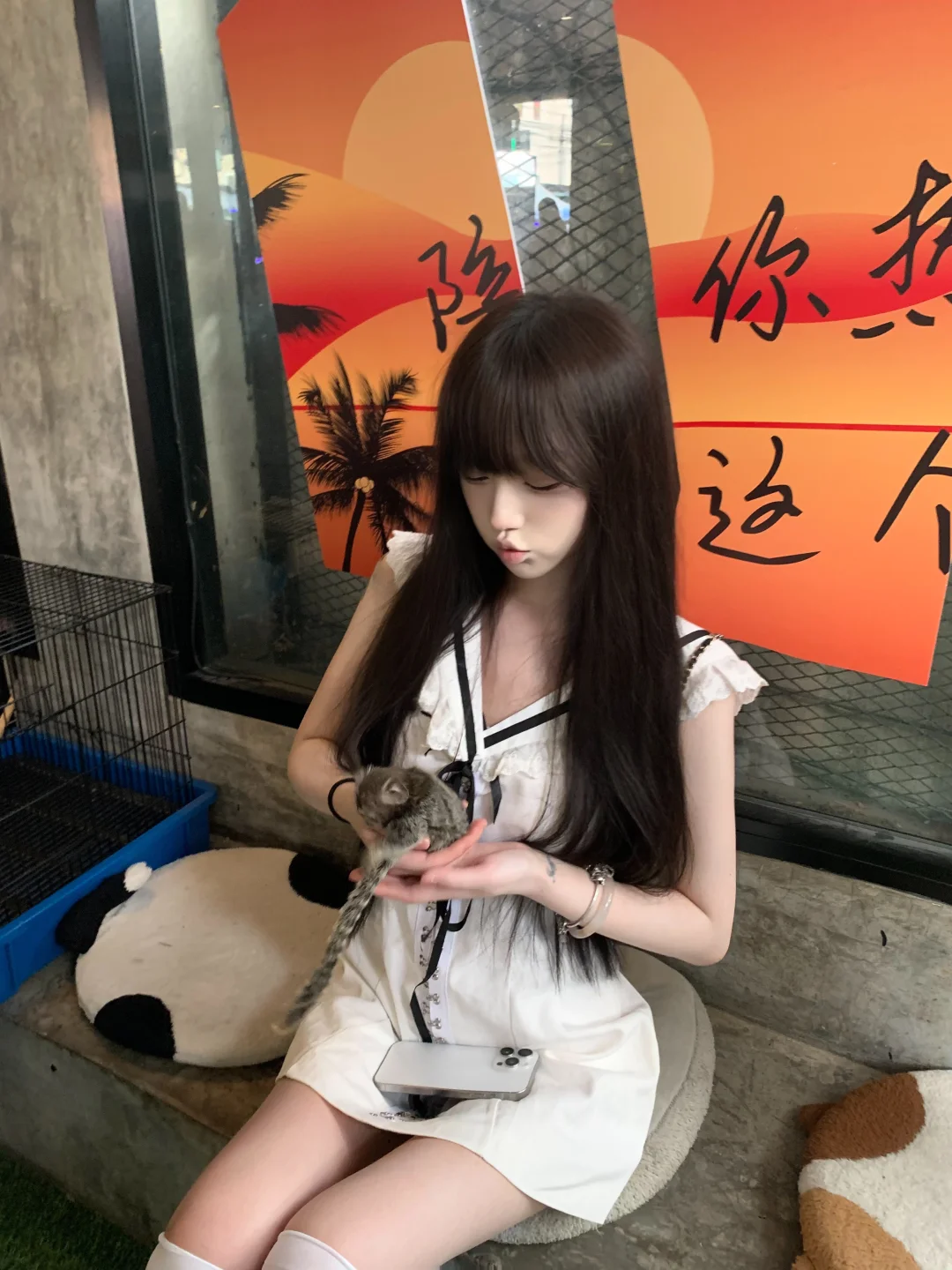 小狮子咖啡店