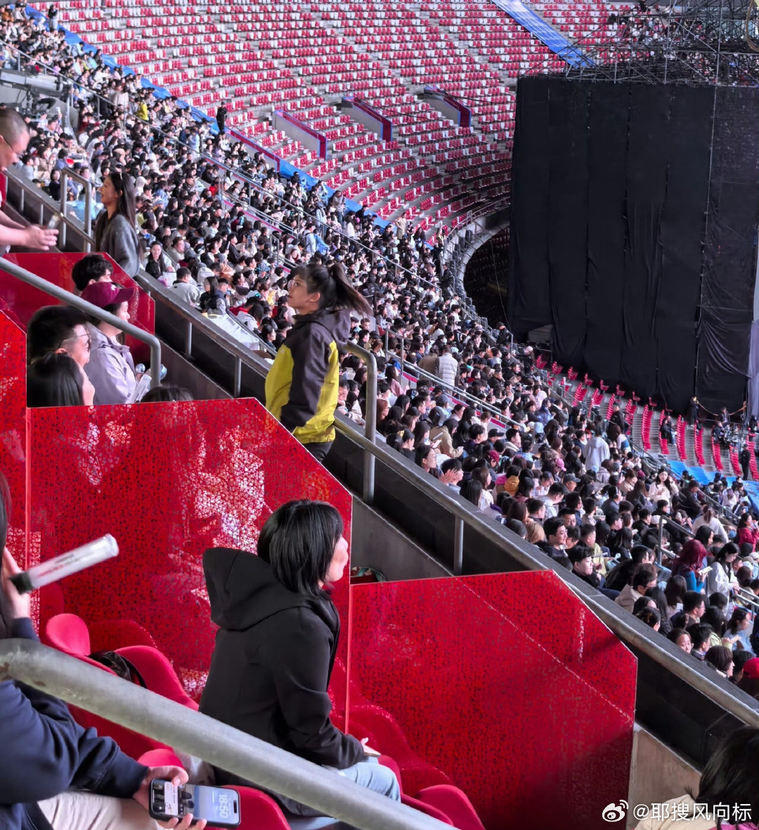 张杰演唱会开灯数人头张杰鸟巢演唱会开灯数人头鸟巢穹顶亮起星河，数万颗心同频共振。