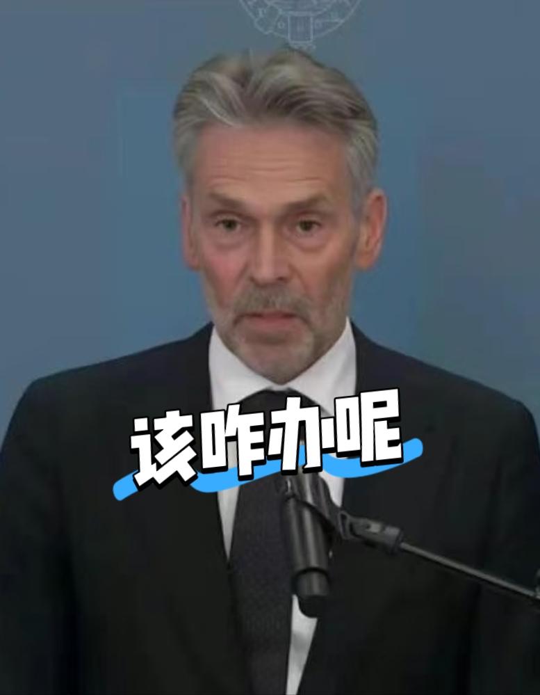 荷兰陷入困境！
 
荷兰经济事务大臣范文特·卡雷曼斯放出消息，荷兰将与我国就芯片