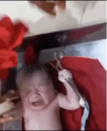 这是我的宝贝，你们谁也别想抢走