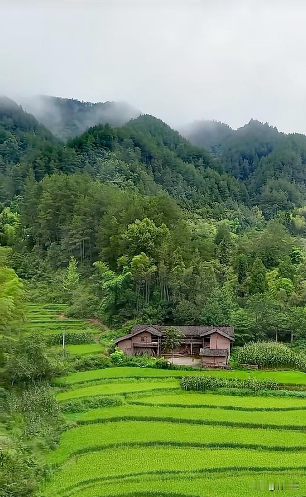 上周回外婆家随手拍的照片，现在翻出来看还是觉得舒服。
山脚下就孤零零立着一栋老砖