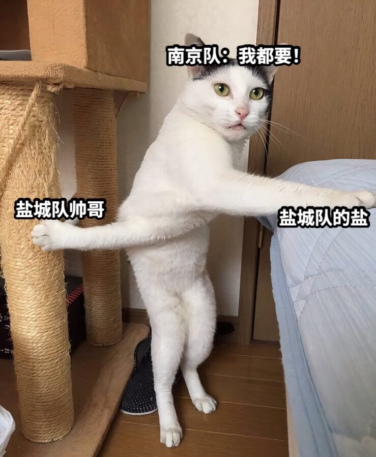 苏超盐水鸭大战麋鹿王南京队的“盐水鸭战术”主打一个迷惑对手， 看他们比赛真的又精